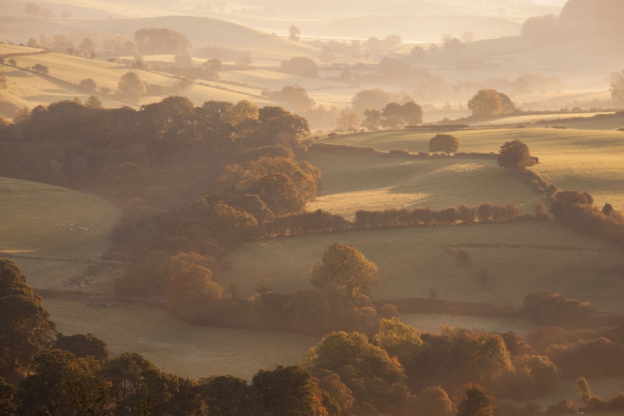 Landscape Photography from the Yorkshire Dales Coast & Moors David