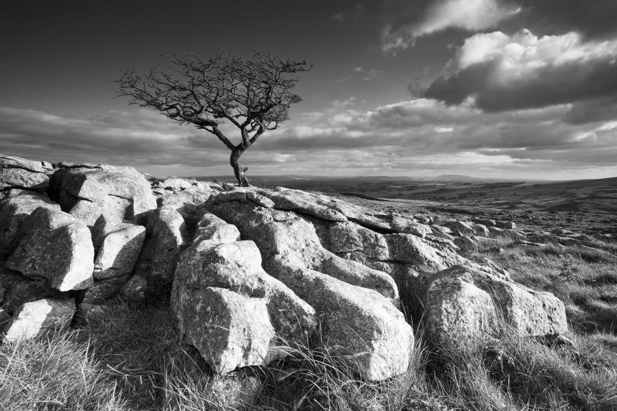 Black & White landscape photography David Speight Photography