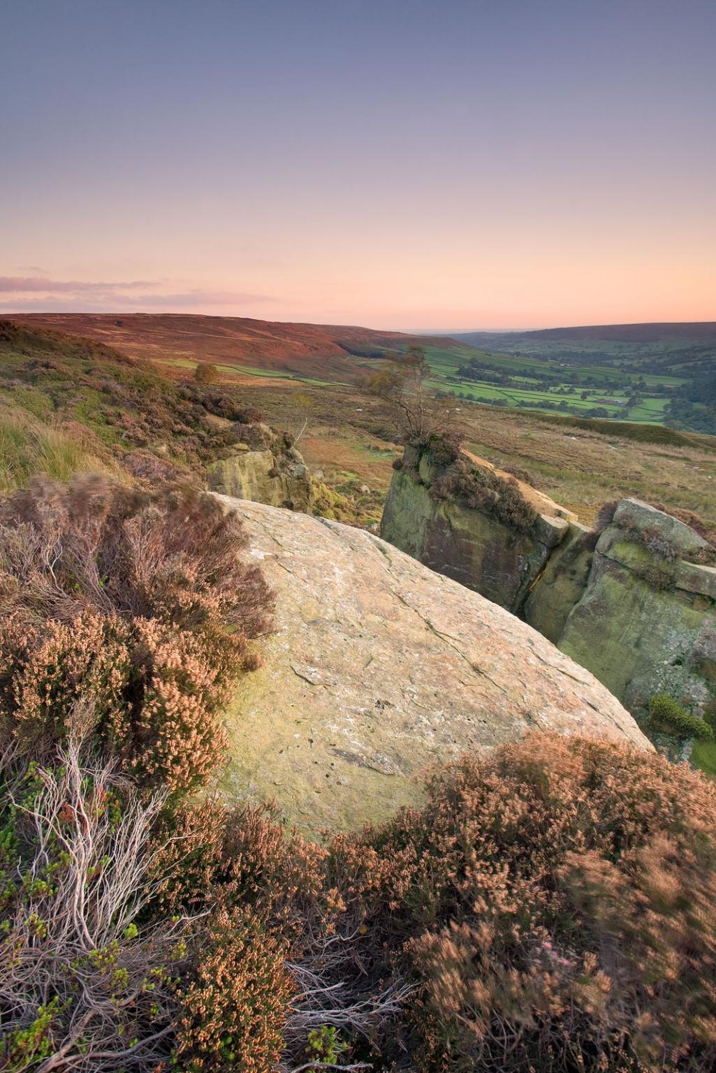 Landscape picture prints of Heather on north Yorkshire Moors - David  Speight Photography