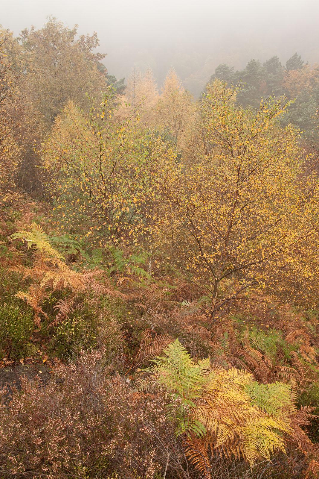 Autumn in West Yorkshire landscape photography workshop - David Speight