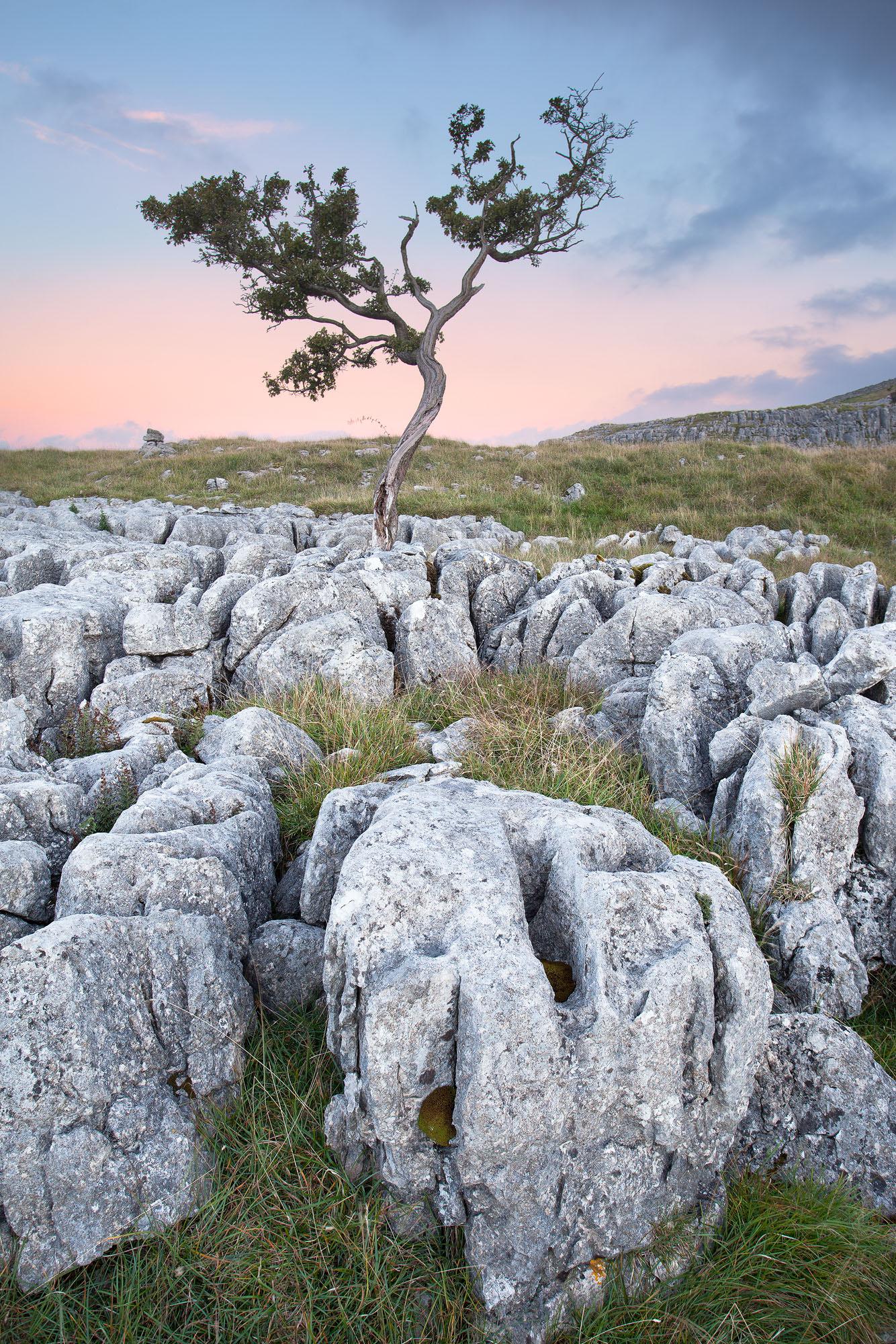 Yorkshire Dales Limestone Pavements Photography David